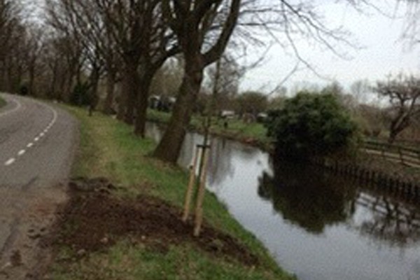 Bomen plaatsen in Stichtse Vecht